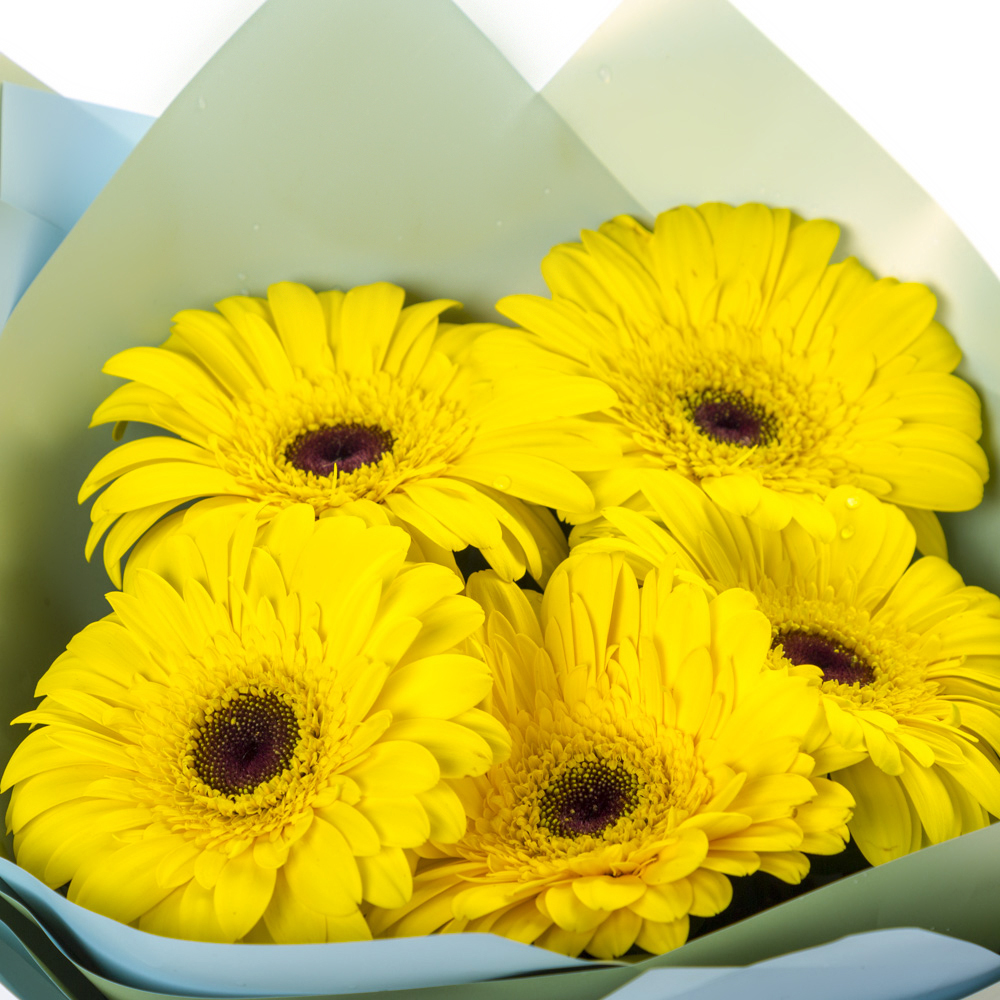 Яркий букет из 5 жёлтых гербер – как кусочек солнца в ваших руках Альметьевск Республика Татарстан