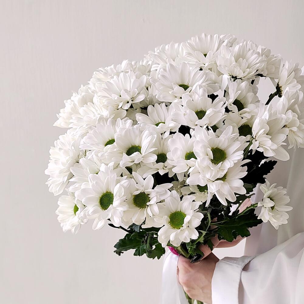 Букет «Ромашка» – 9 белоснежных хризантем в деревенском стиле Альметьевск Республика Татарстан