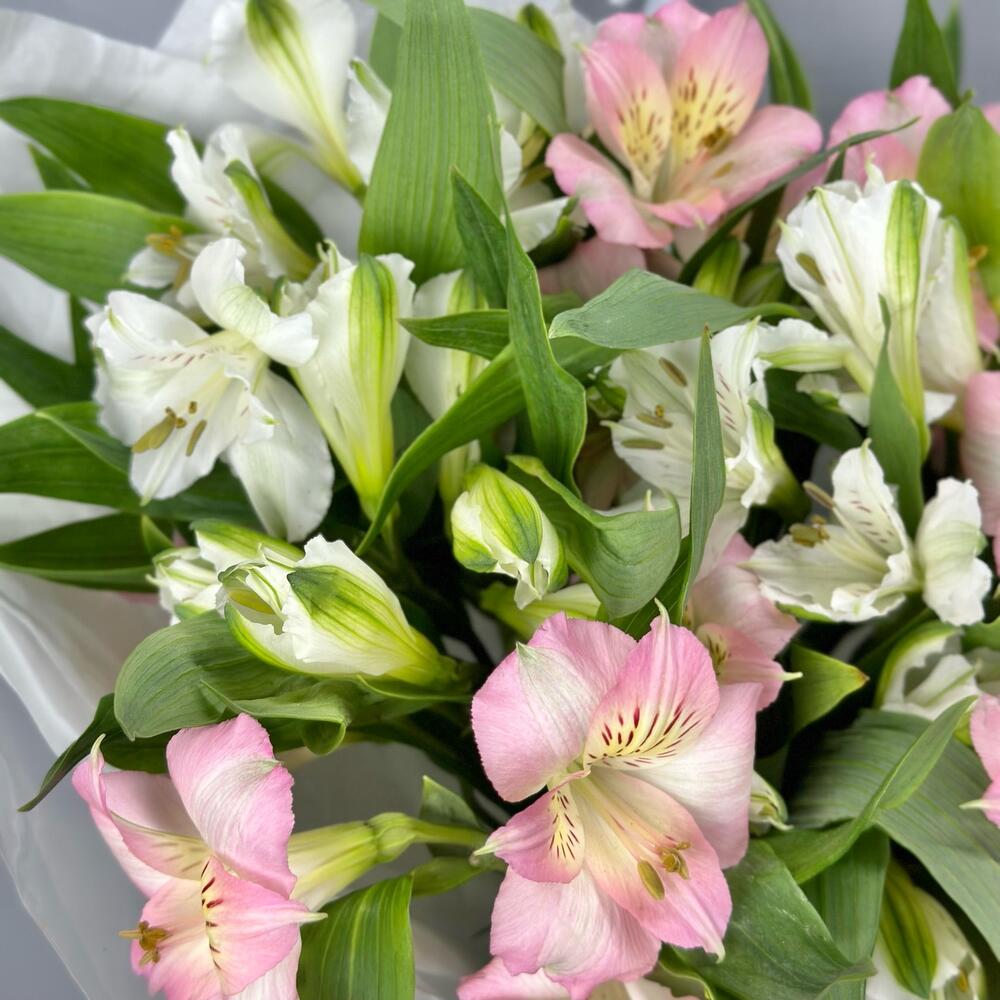 Букет «Нежность» – трогательное сочетание белых и розовых альстромерий Альметьевск Республика Татарстан