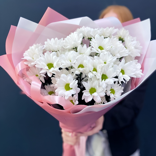 Букет «Розовое счастье» – нежность белых хризантем Альметьевск Республика Татарстан