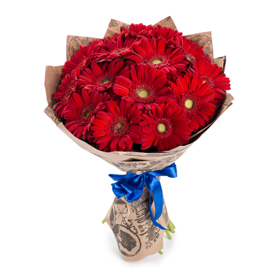 Яркий букет из 15 красных гербер – воплощение страсти и жизнерадостности Альметьевск Республика Татарстан