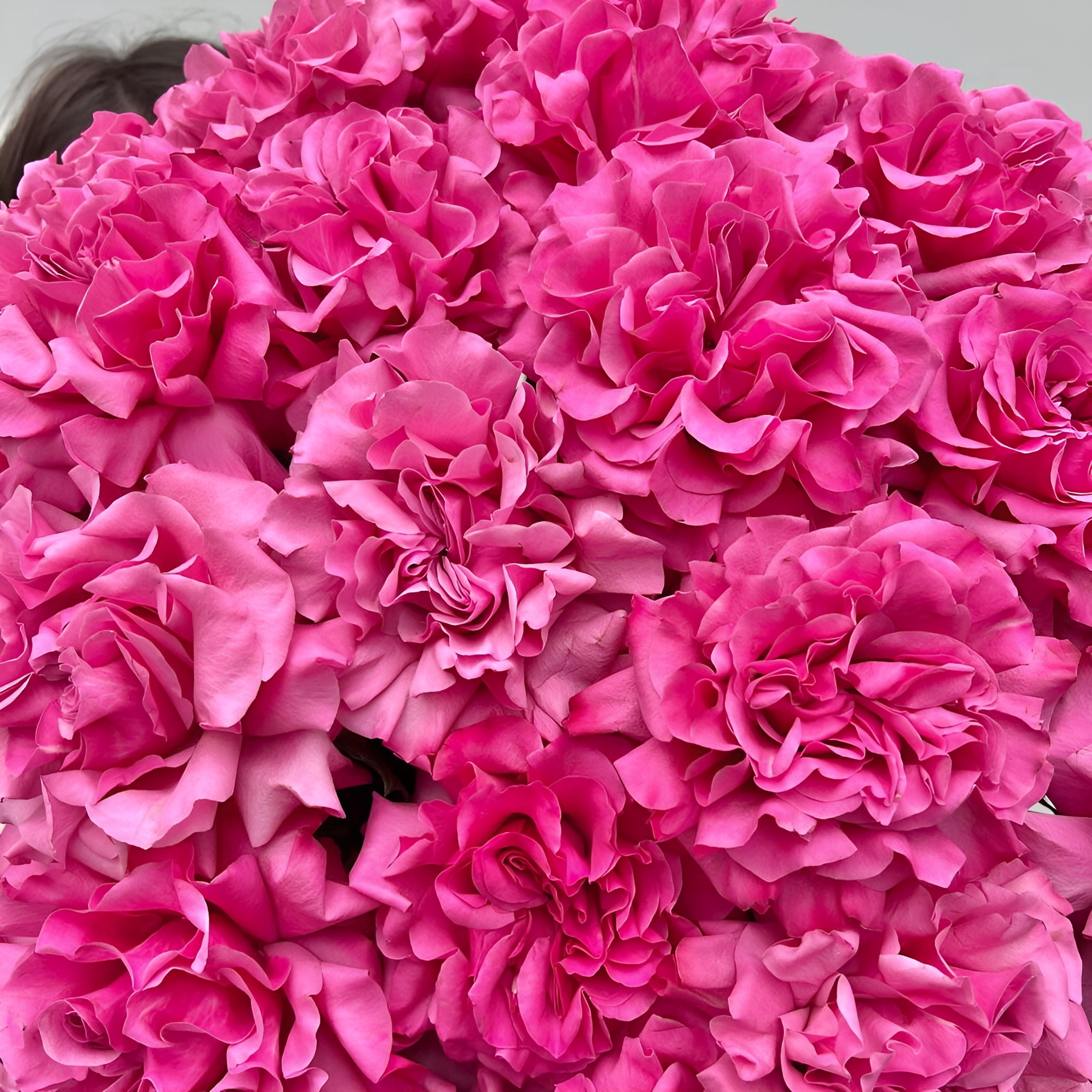 Роскошный букет из пионовидных роз – королевский подарок Альметьевск Республика Татарстан