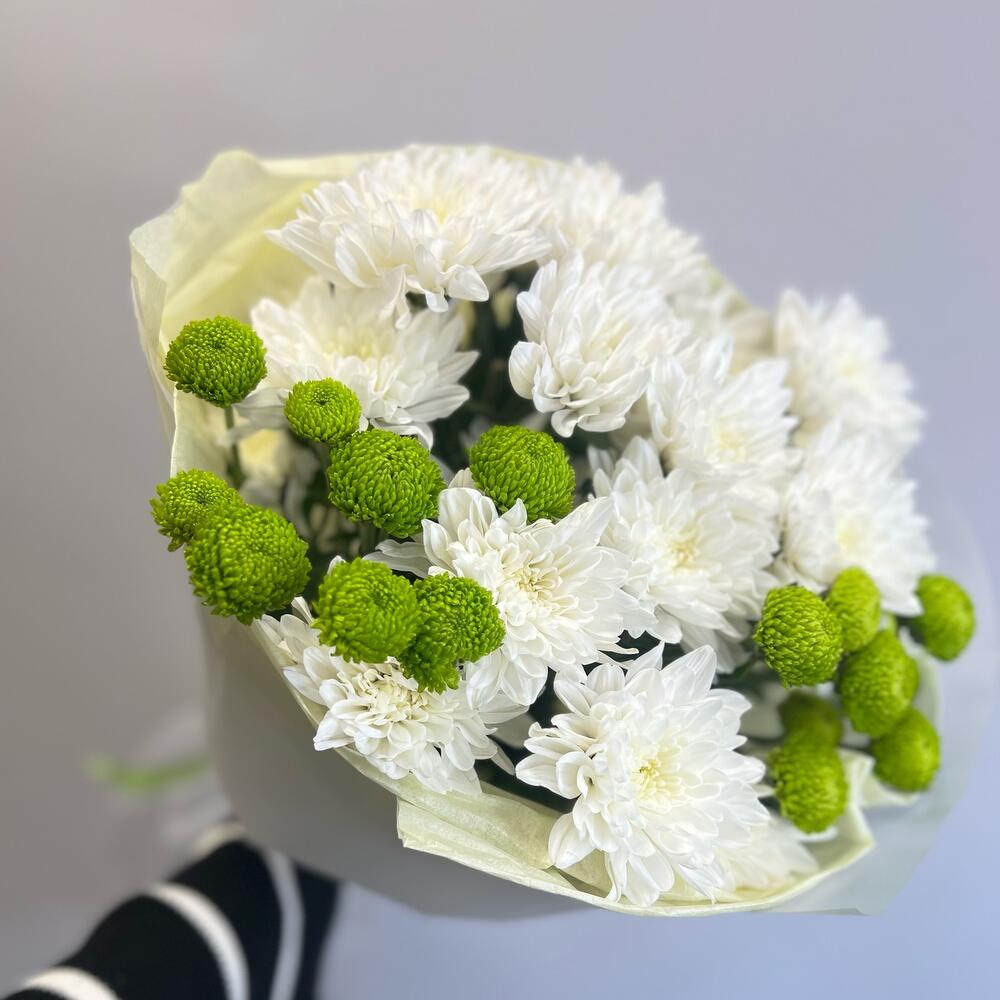 Эксклюзивный букет «Филин Грин» – сочетание белых и зеленых хризантем Альметьевск Республика Татарстан
