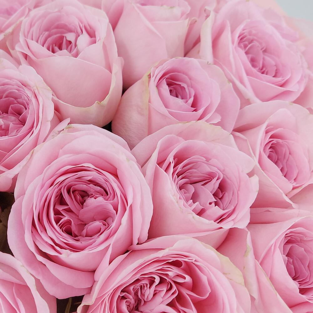 Букет из нежно-розовых роз – элегантность в каждом лепестке Альметьевск Республика Татарстан