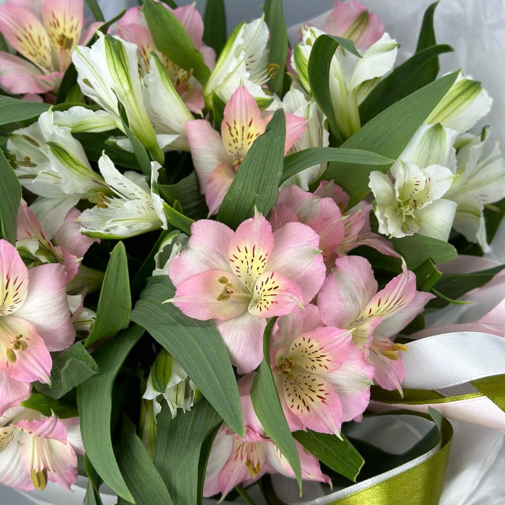 Букет «Нежность» – трогательное сочетание белых и розовых альстромерий Альметьевск Республика Татарстан