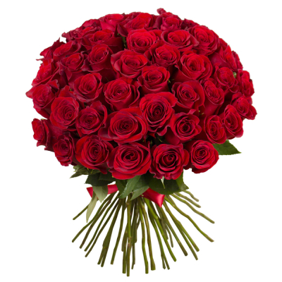Букет «О, Шарман!» – 51 роскошная эквадорская роза Альметьевск Республика Татарстан