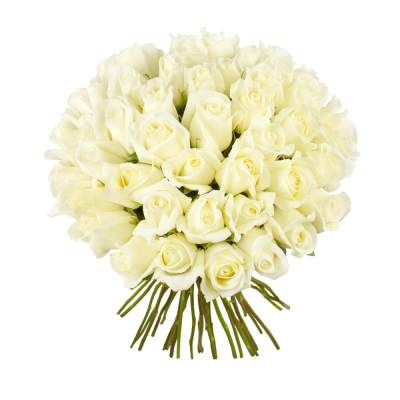 Роскошный букет из 51 белой розы – символ безграничной преданности Альметьевск Республика Татарстан