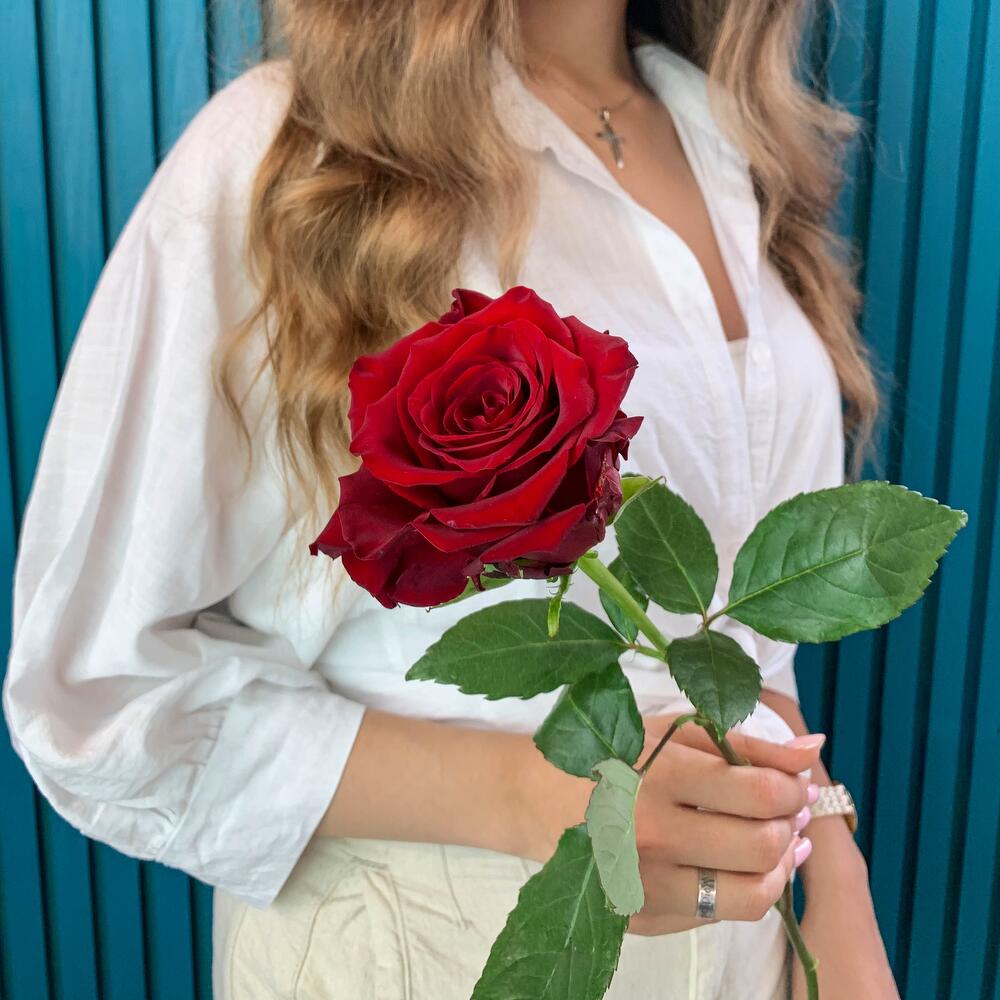 Комплимент из красной эквадорской розы – минимализм роскоши Альметьевск Республика Татарстан