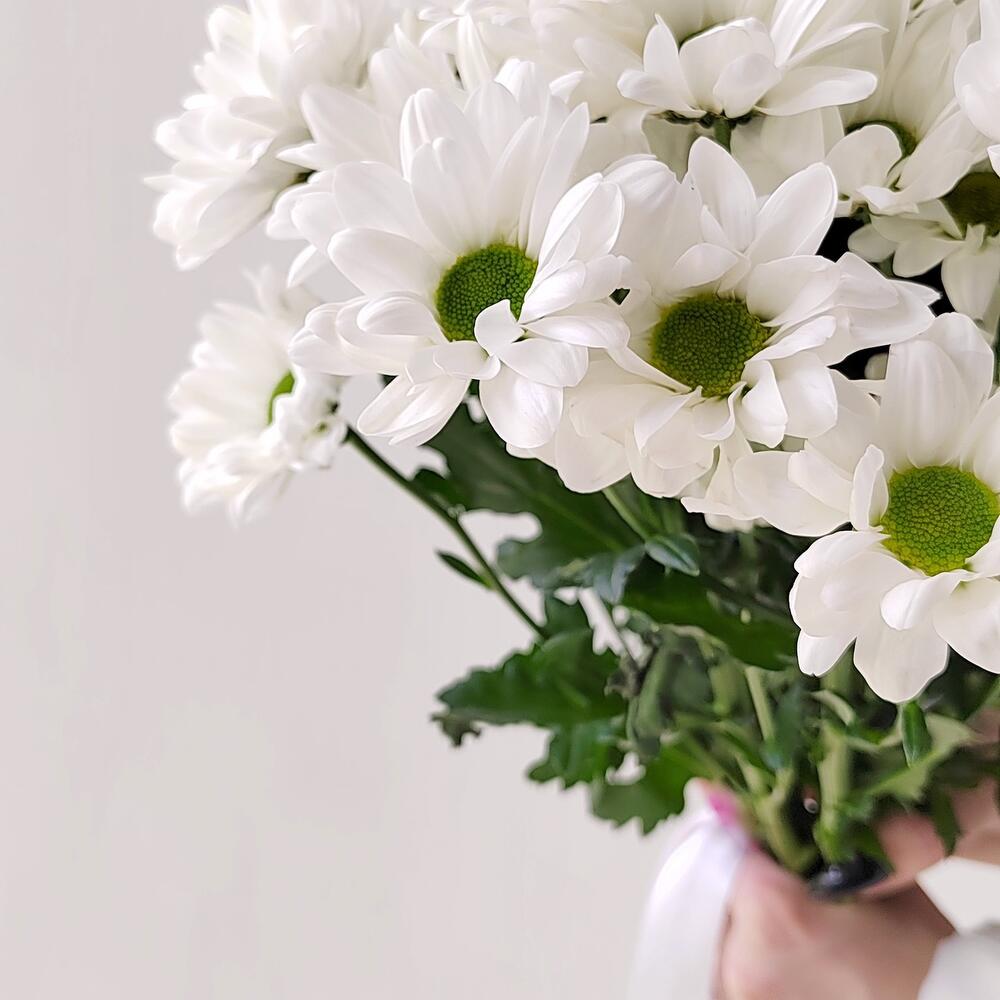 Букет «Ромашка» – 9 белоснежных хризантем в деревенском стиле Альметьевск Республика Татарстан