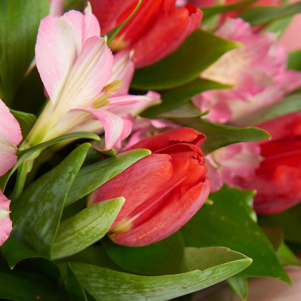 Букет «Первый поцелуй» красных тюльпанов и розовых альстромерий Альметьевск Республика Татарстан