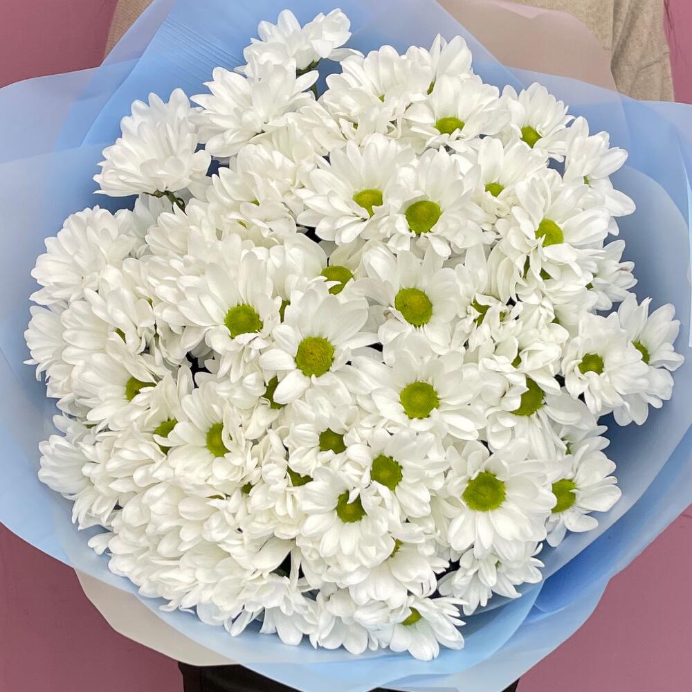 Букет «Ромашковое поле» – свежесть белых хризантем Альметьевск Республика Татарстан