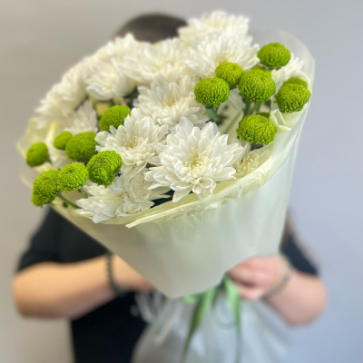 Эксклюзивный букет «Филин Грин» – сочетание белых и зеленых хризантем Альметьевск Республика Татарстан