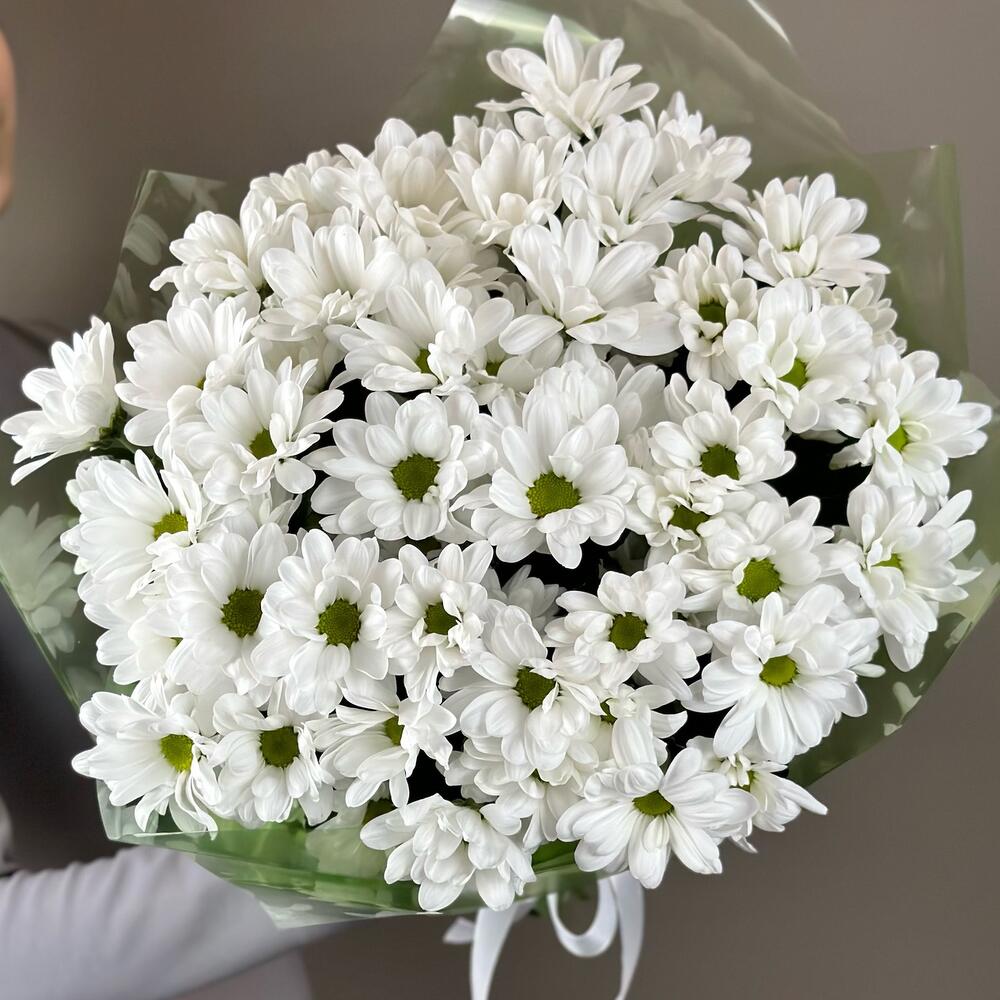 Букет «Мечты о лете» – свежесть белых хризантем Альметьевск Республика Татарстан