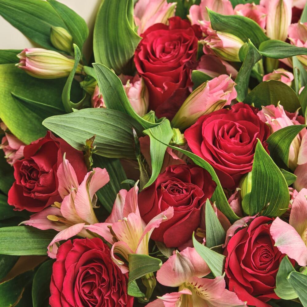 Букет «Нежность слов» — гармония красных роз и нежных альстромерий Альметьевск Республика Татарстан