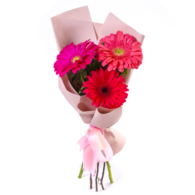 Яркий букет из 3 разноцветных гербер – маленькое чудо в ваших руках Альметьевск Республика Татарстан