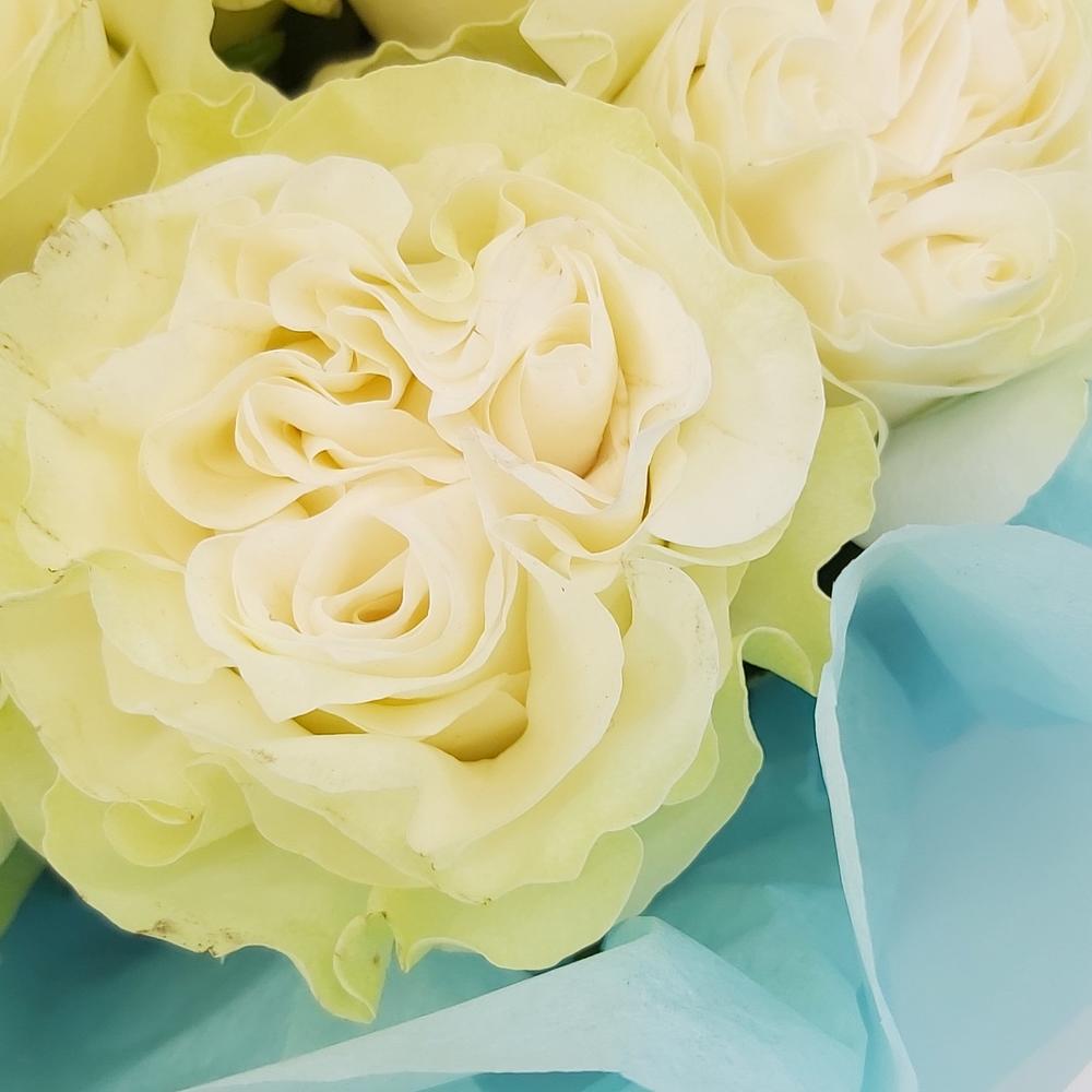 Букет «Кружевное облачко» – 11 белоснежных роз в нежной упаковке Альметьевск Республика Татарстан