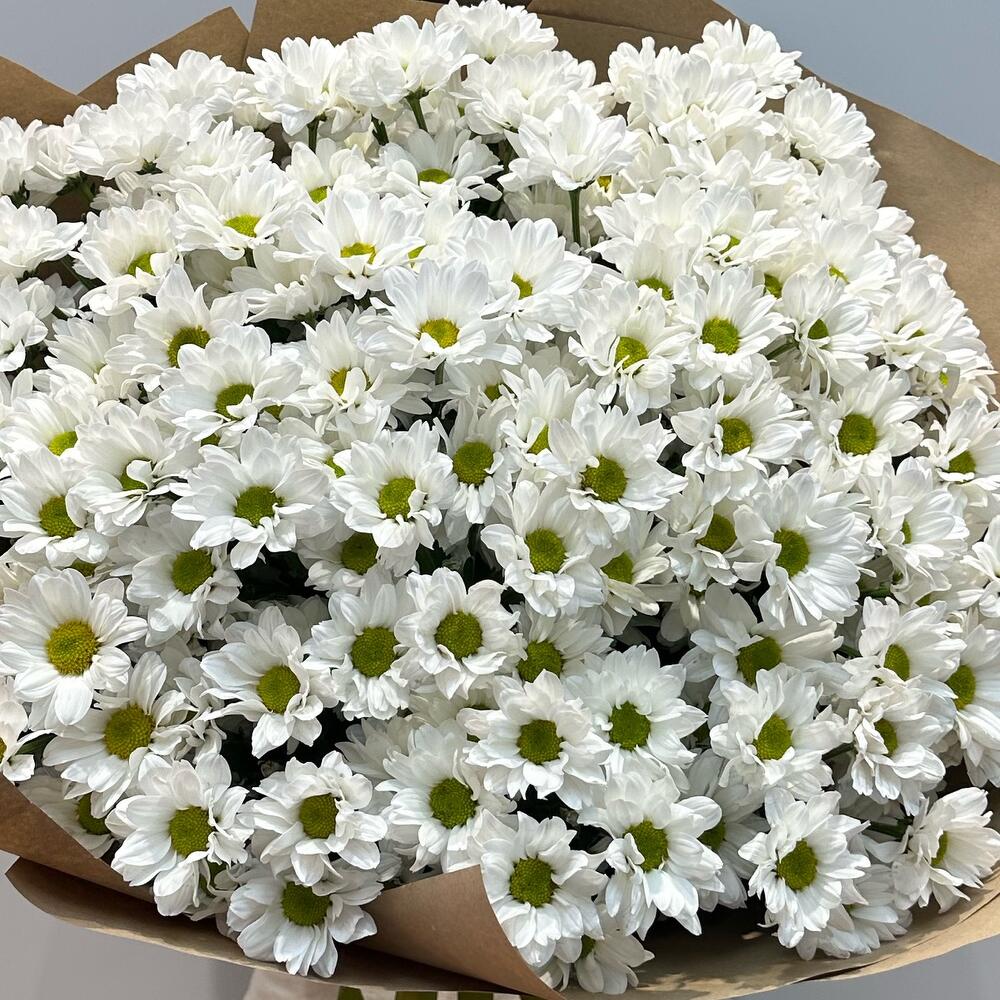 Букет «21 ромашка» – нежные белые кустовые хризантемы в натуральном стиле Альметьевск Республика Татарстан