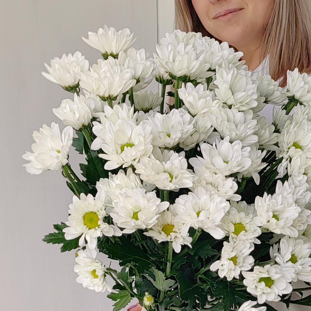 Букет «Ромашка» — свежесть белых хризантем в деревенском стиле Альметьевск Республика Татарстан