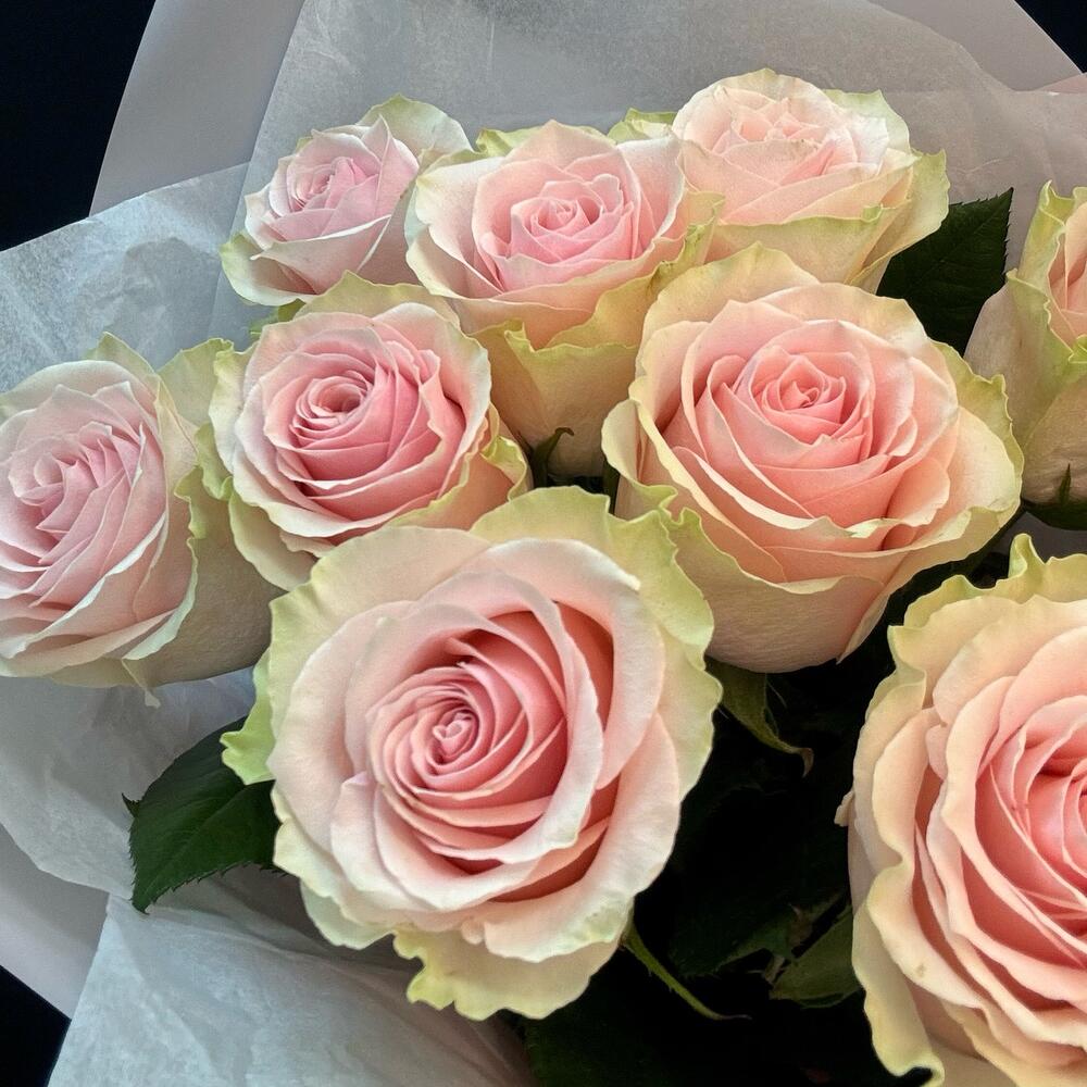 Букет из 9 розовых роз – нежность в каждом лепестке Альметьевск Республика Татарстан