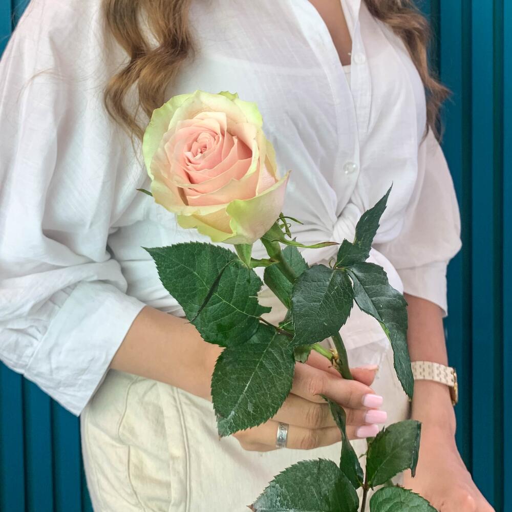 Комплимент из розовой эквадорской розы – минимализм роскоши Альметьевск Республика Татарстан