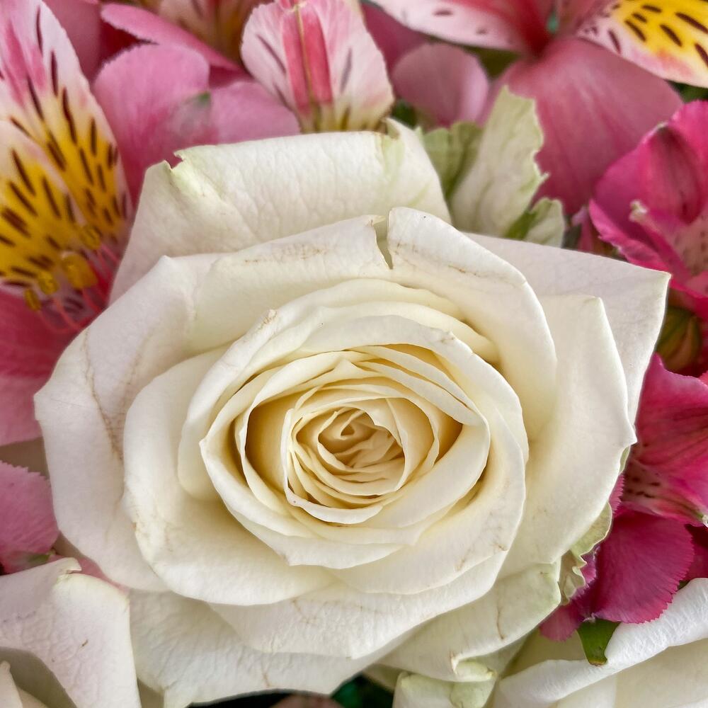 Букет «Николь» – изысканное сочетание роз, кустовых роз и альстромерий Альметьевск Республика Татарстан