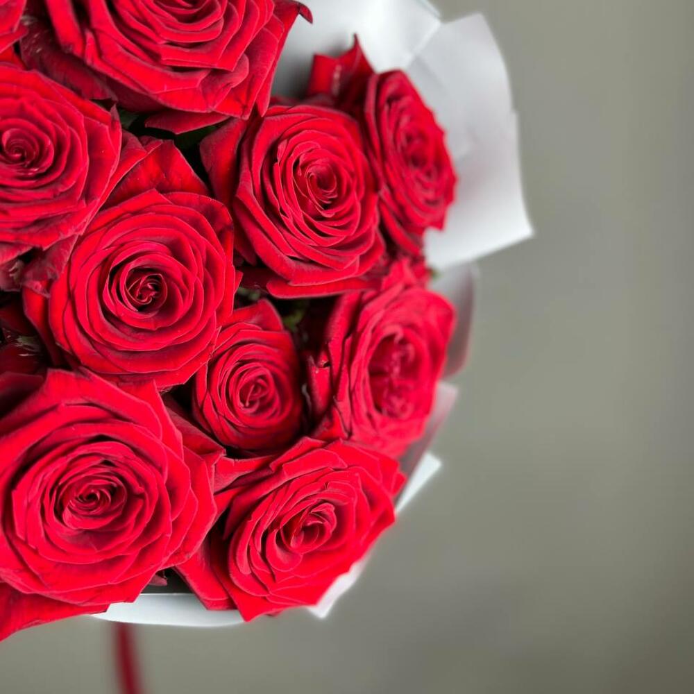 «Королевский бархат» – 25 роскошных красных роз из Эквадора  Альметьевск Республика Татарстан