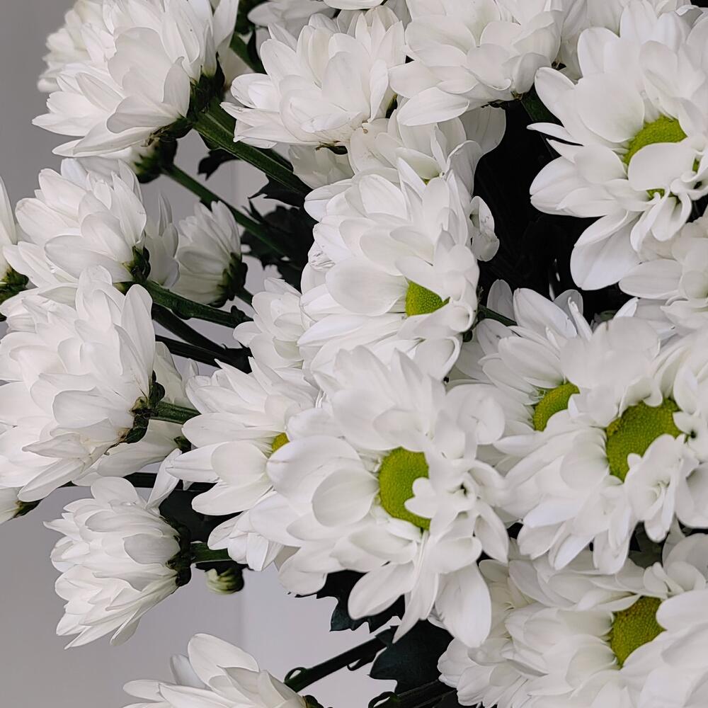 Букет «Ромашка» — свежесть белых хризантем в деревенском стиле Альметьевск Республика Татарстан