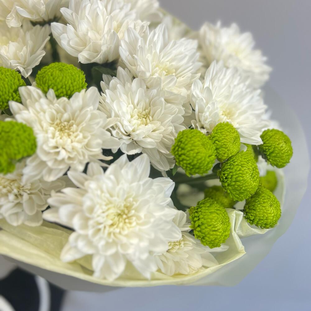Эксклюзивный букет «Филин Грин» – сочетание белых и зеленых хризантем Альметьевск Республика Татарстан
