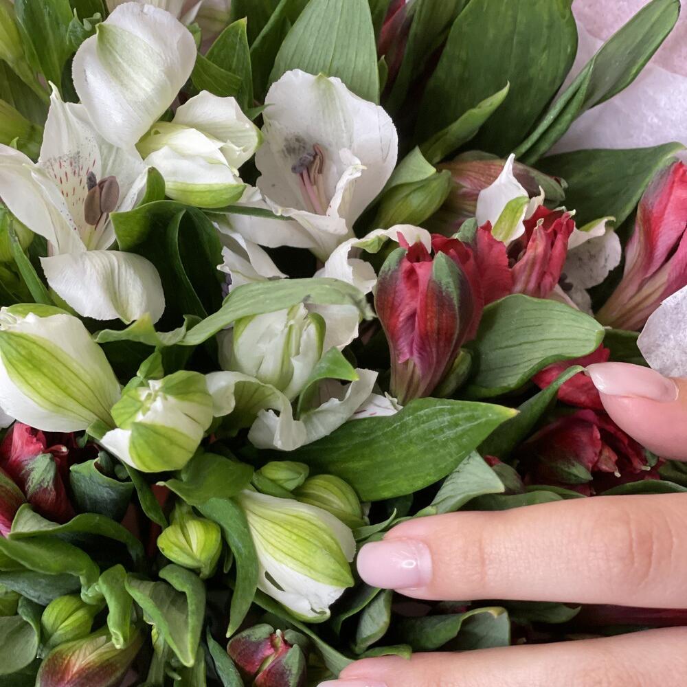 Букет «Люблю»– страсть и чистота в красно-белых альстромериях Альметьевск Республика Татарстан