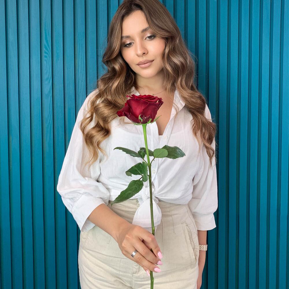 Комплимент из красной эквадорской розы – минимализм роскоши Альметьевск Республика Татарстан