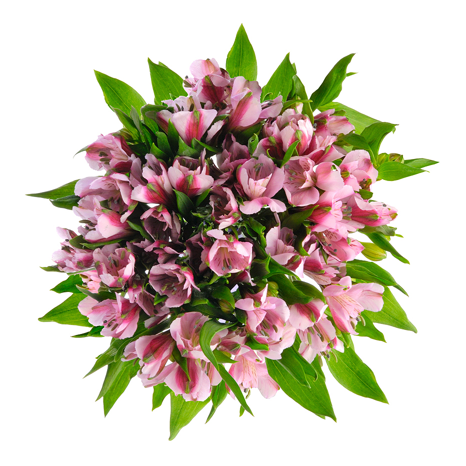 Букет «Хорошее настроение» из розовых альстромерий – солнечный подарок Альметьевск Республика Татарстан