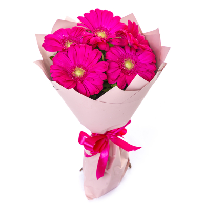 Букет из 5 малиновых гербер – сочный акцент вашего подарка Альметьевск Республика Татарстан