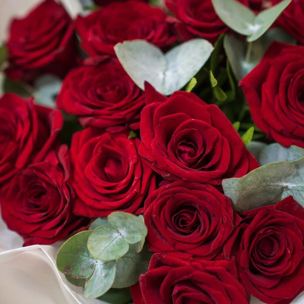 Элегантный букет из 15 красных роз с эвкалиптом – символ страсти и нежности Альметьевск Республика Татарстан