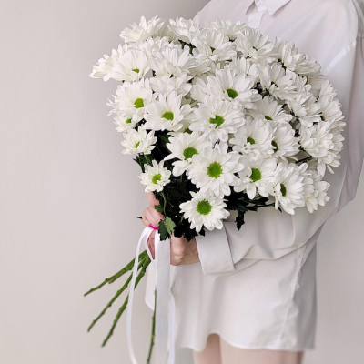 Букет «Ромашка» – 9 белоснежных хризантем в деревенском стиле Альметьевск Республика Татарстан