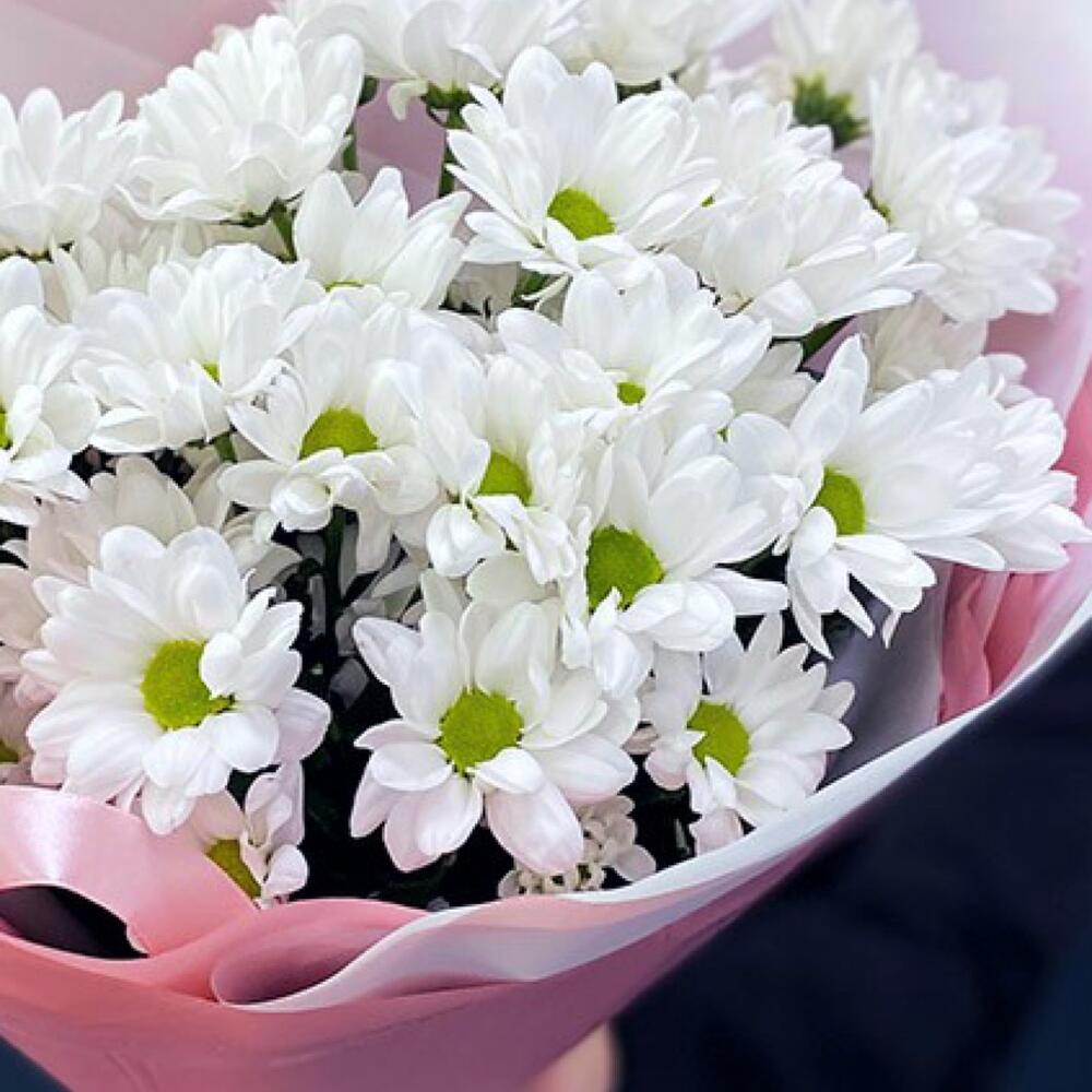 Букет «Розовое счастье» – нежность белых хризантем Альметьевск Республика Татарстан