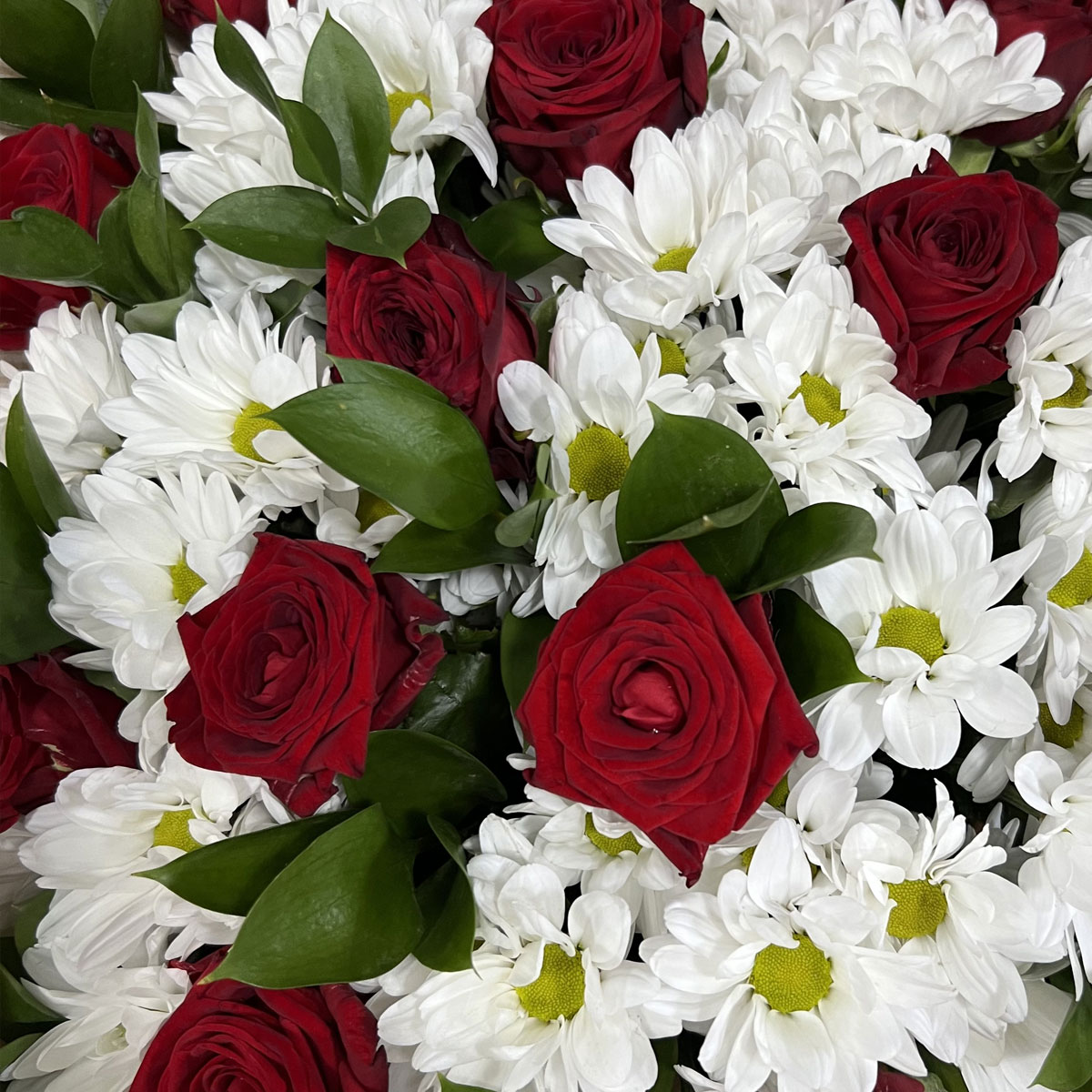 Букет «Романтика» — гармония красных роз и белоснежных хризантем Альметьевск Республика Татарстан