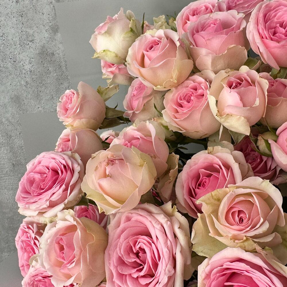 Букет «Нежный аромат» – пышные розовые кустовые розы в элегантной упаковке Альметьевск Республика Татарстан