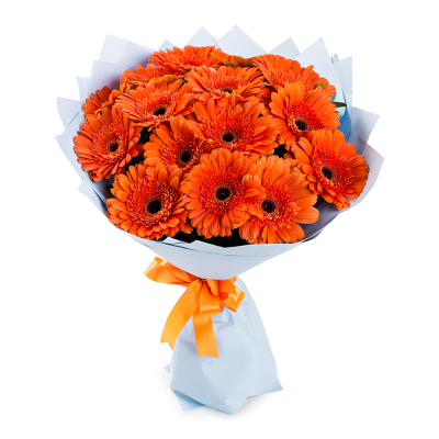 Яркий букет из 15 оранжевых гербер – как кусочек солнца в ваших руках Альметьевск Республика Татарстан